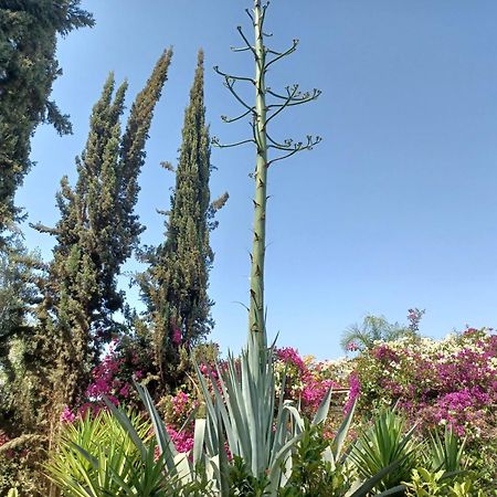 Riad-Villa Agadir-Taroudant Sidi Boumoussa Esterno foto