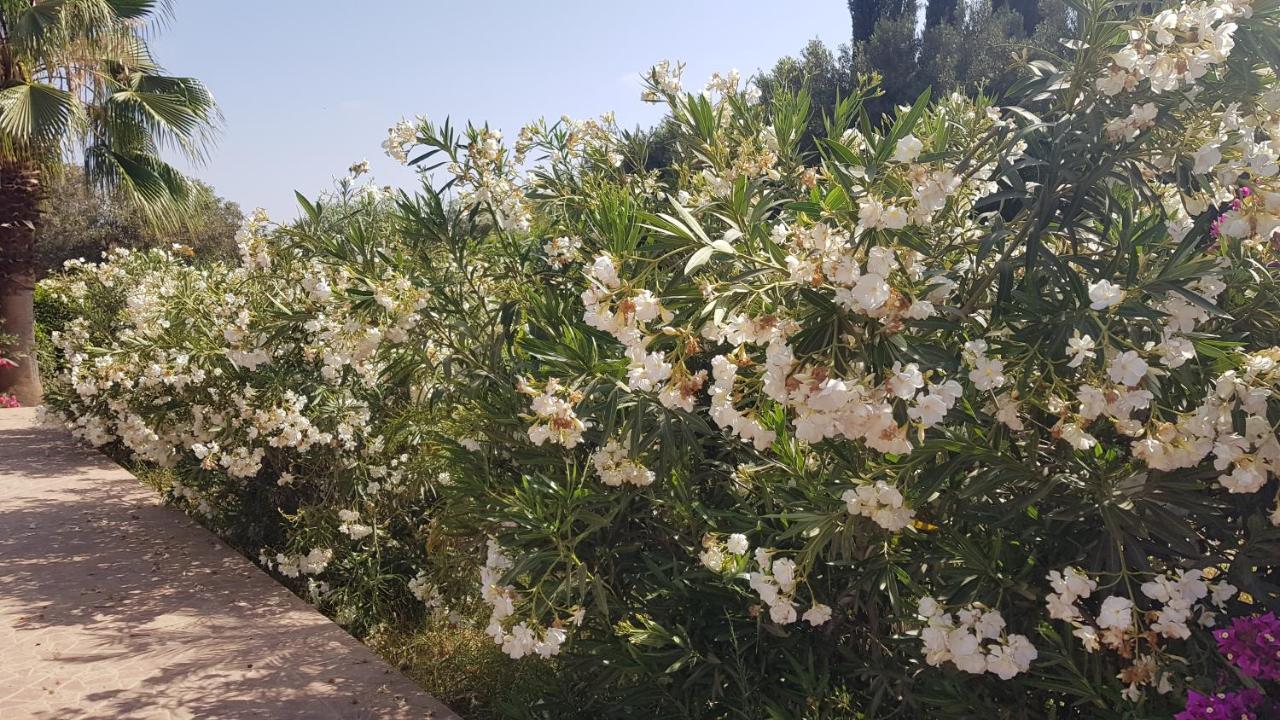 Riad-Villa Agadir-Taroudant Sidi Boumoussa Esterno foto