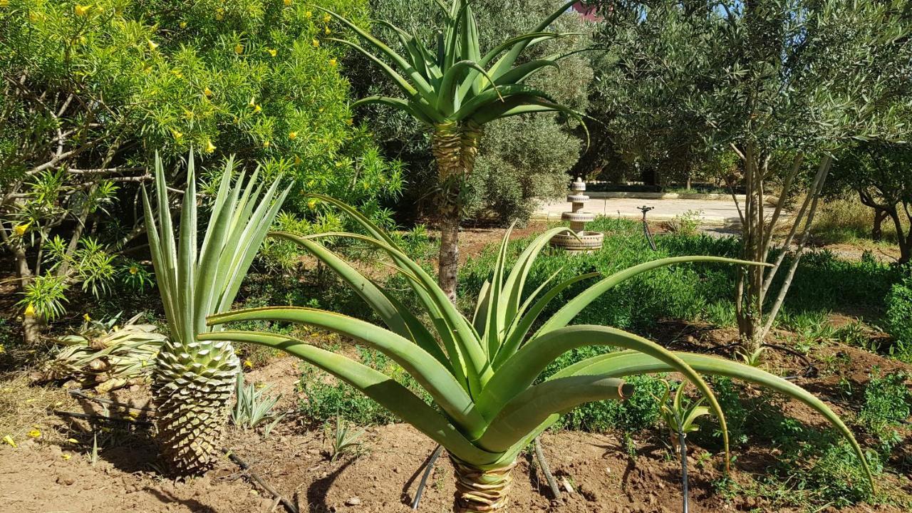 Riad-Villa Agadir-Taroudant Sidi Boumoussa Esterno foto