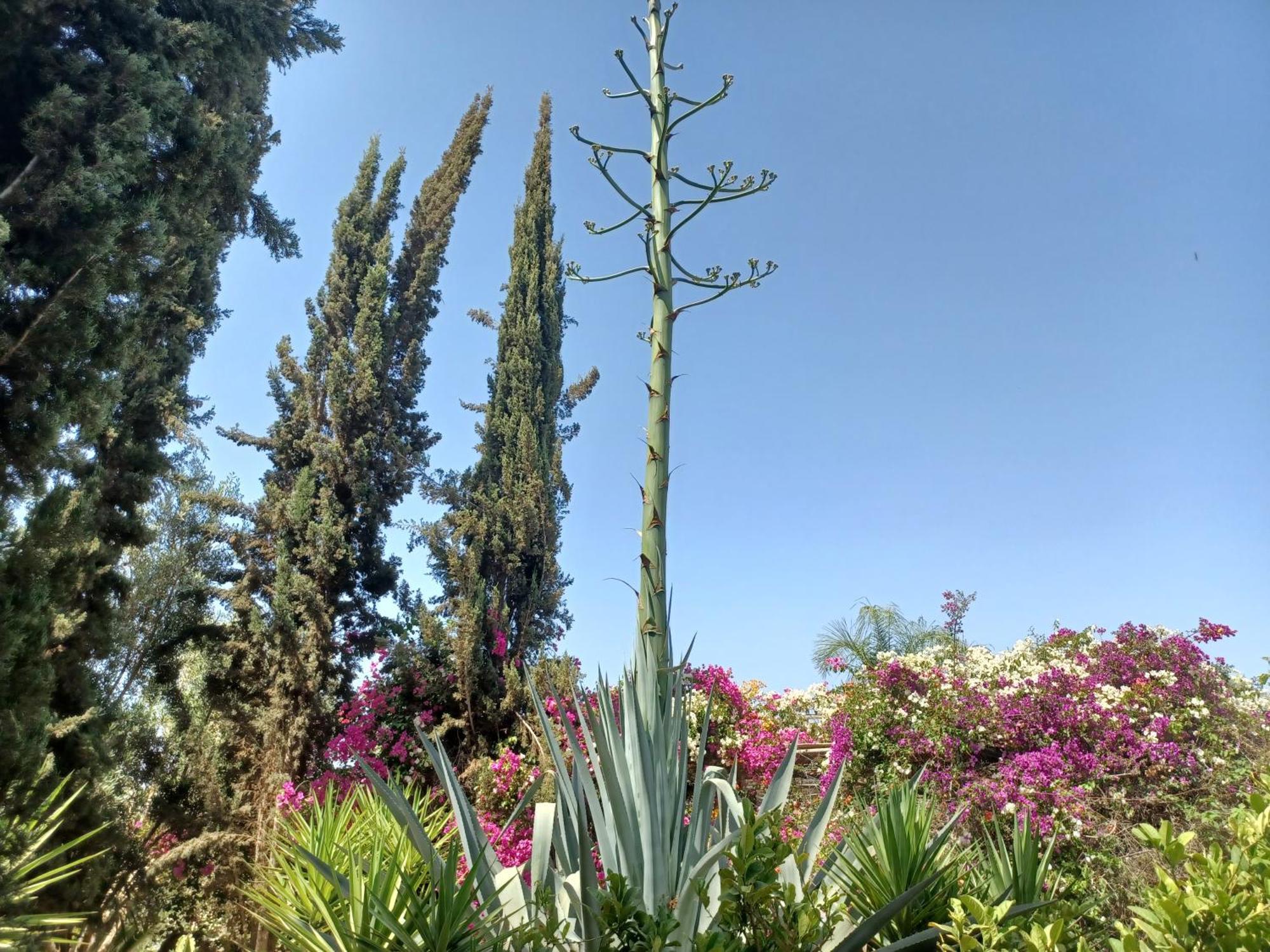Riad-Villa Agadir-Taroudant Sidi Boumoussa Esterno foto