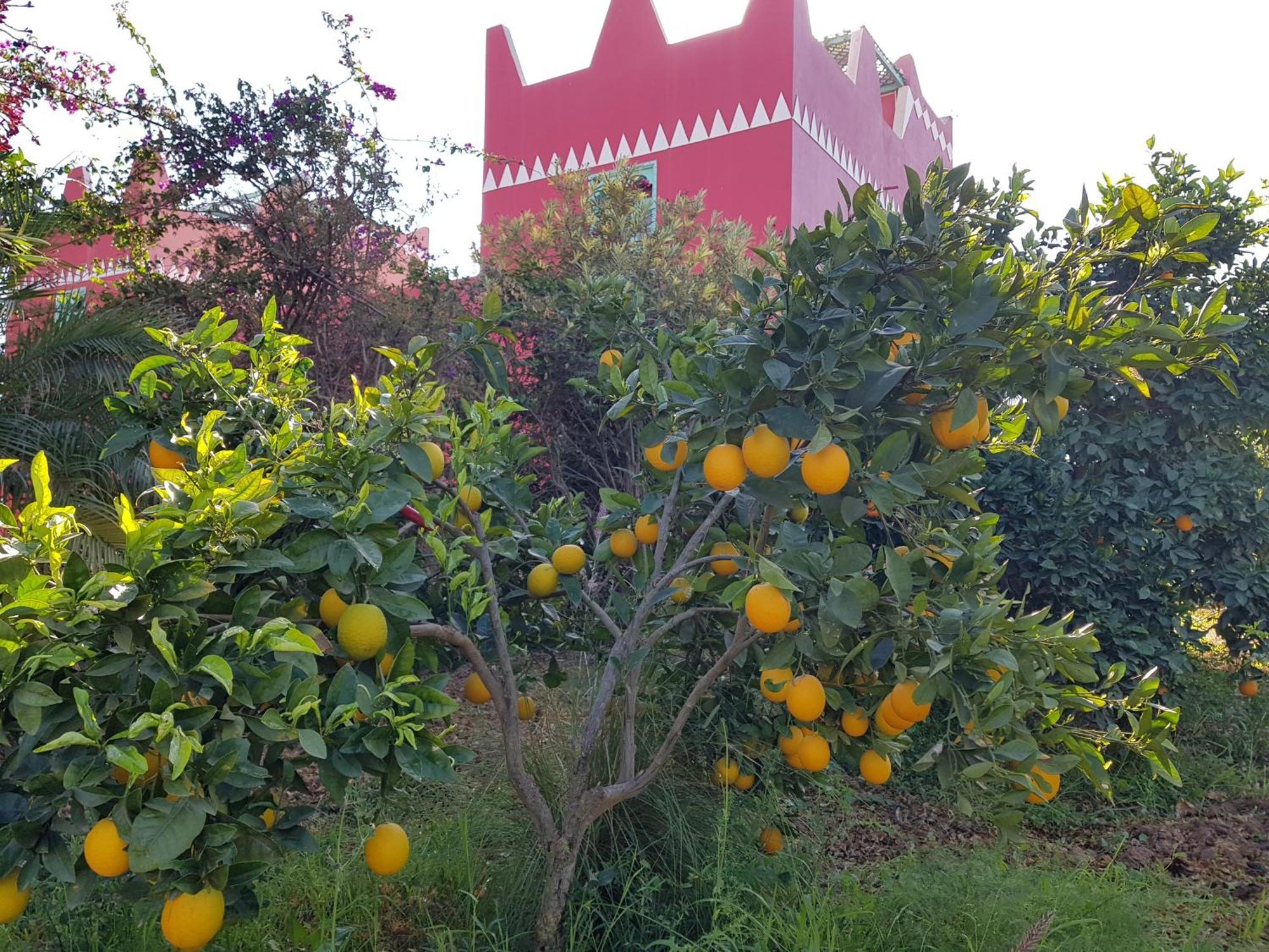Riad-Villa Agadir-Taroudant Sidi Boumoussa Esterno foto